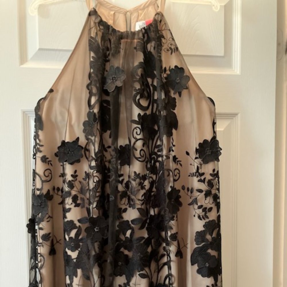 Badgley Mischka Black Floral Appliqué Halter Mini Dress on Nude